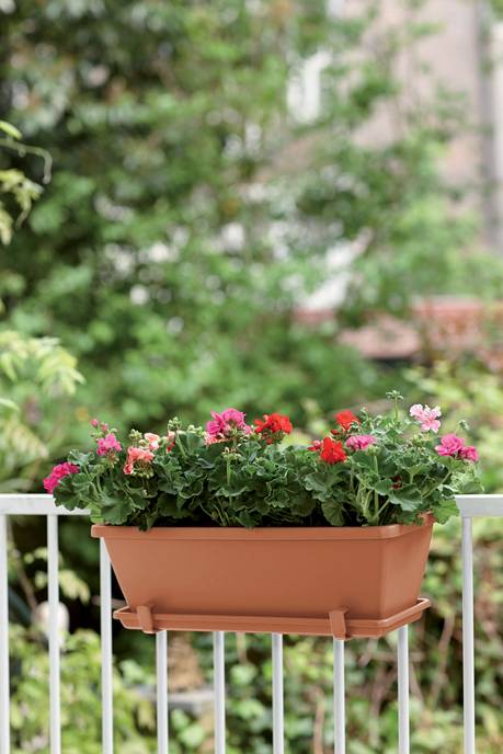 barcelona balconnière soucoupe 40cm terre cuite